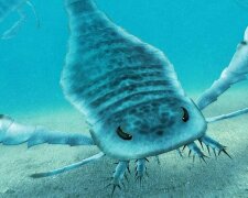 гигантские скорпионы, фото Sciencealert