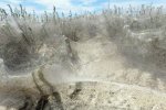 Одесчину затягивает огромной паутиной