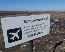 Голландці реконструюють збитий на Донбасі "Боїнг"
