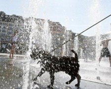 Украинцам посоветовали готовиться к очередным погодным казусам