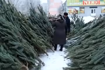 Ялинки / скріншот з відео