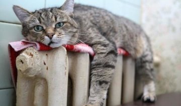 Регионы начнут отопительный сезон в разное время