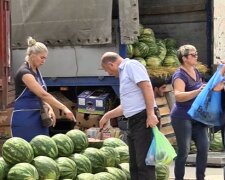 У Львові стартує продаж баштанних, фото: Події. Львів