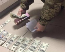 От Кипра до Нидерландов: разоблачены валютные схроны экс-чиновников