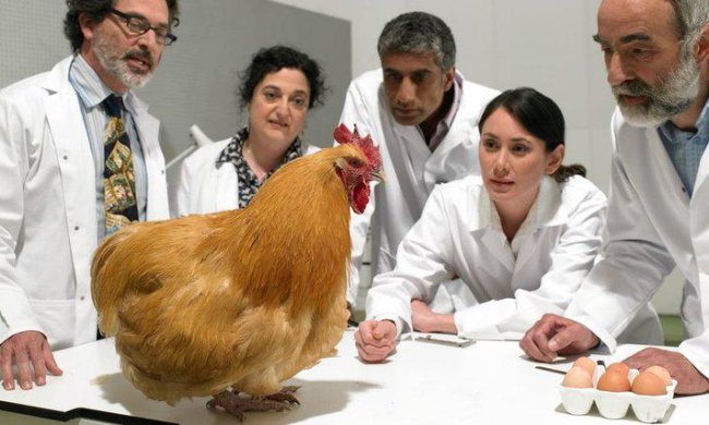 Псевдонаука взяла верх: вчені показали всю абсурдність суспільства