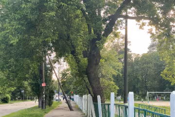 Киев, фото: Знай.ua