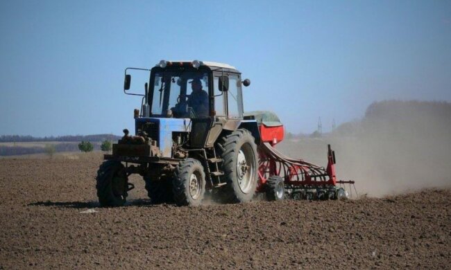 Ціни на землю в Україні зросли на 26% — поле