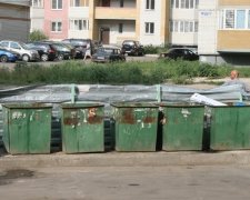 В российском городе на мусор выбросили 250 мертвых черепах