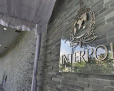 Стали відомі деталі "кримської спецоперації" Інтерполу