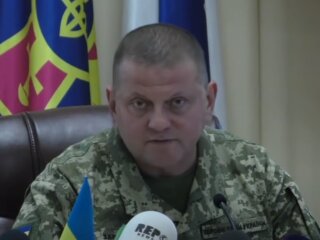 Валерій Залужний, скріншот: Youtube