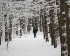 Зима повертається: коли стихія завдасть удару