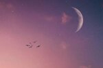 Ретроградность, изображение: Pinterest