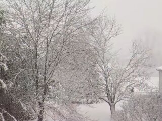 Погода взимку, фото: кадр з відео