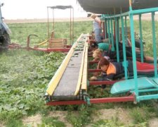 Как украинских заробитчан решили превратить в жителей "Л/ДНР"