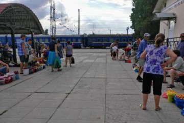 Стадо: кримчани благають росіян зникнути
