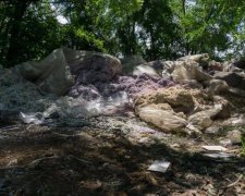 Мільйони гривень знайшли посеред українського лісу: відео