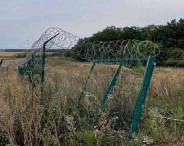 "Стена Яценюка". Фото: скриншот с видео