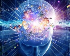 Эволюция разума связана с вынашиванием детей