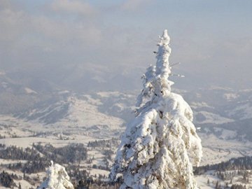 Сильнейшие ветра, дождь и гололедица будут радовать украинцев целую неделю, и это еще не все