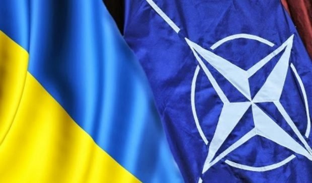 Порошенко: Украине все еще необходимо членство в НАТО