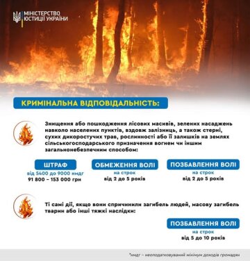 Кримінальна відповідальність за спалювання листя: фото Міністерство юстиції України