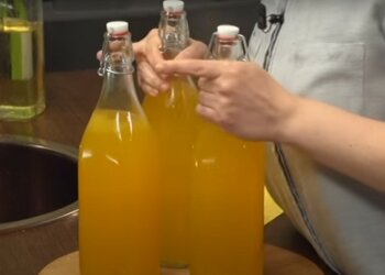 морковное вино, скриншот из видео