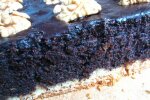 Нежный пляцок "Маковка" с орехами и шоколадом покорит ваших гостей - пошаговый рецепт