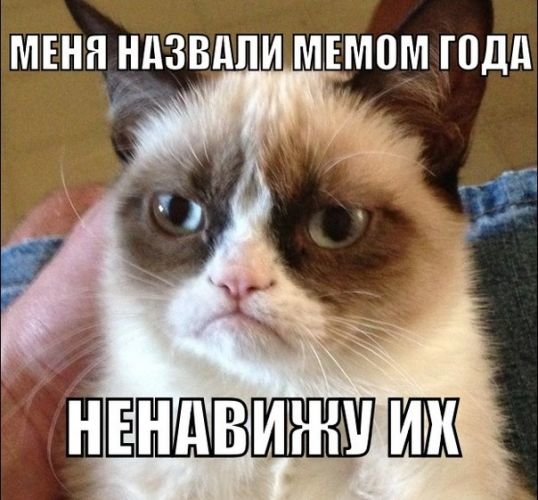 В Сети вспоминают лучшие мемы с Grumpy Cat