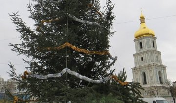 У столиці встановили першу ялинку (фото)