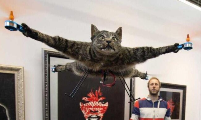 Дбайливий дрон не дозволить вам працювати занадто багато