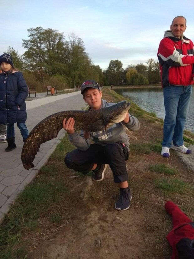 - У франківському озері зловили величезного сома (Znaj.ua) - rai.ua