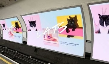 Лондонські коти оселяться у метро