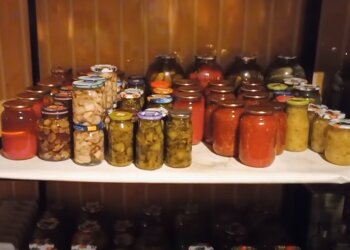 Консервация. Фото: скрин youtube