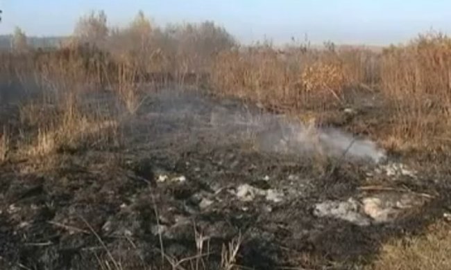 Біля Києва палають 17 гектарів торфовищ