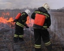 Жителям Київщини нічим дихати: горять торфовища