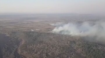 Пожежа у Чорнобилі, скріншот: ДСНС