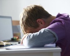 Школярів навчать виживати в мережі