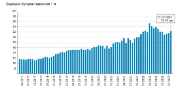 Рост цен на муку, Минфин