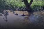Фото: ДСНС