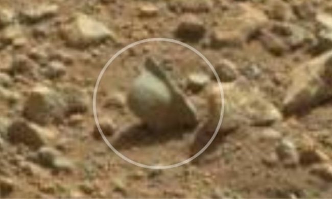 На Марсе нашли нацистскую каску времен Второй мировой