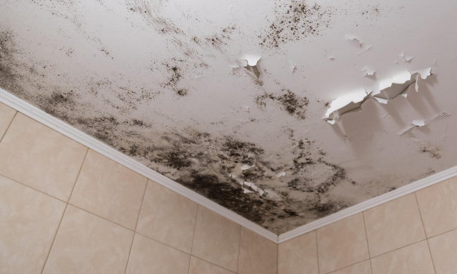 Цвіль у ванній, зображення з вільних джерел