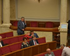 Кума Порошенка в кольорах Зеленського, полуничка від "Самопомочі" і змова трьох - найцікавіше з Ради за тиждень