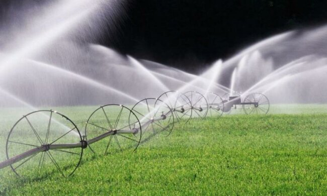 Рослини навчилися просити фермерів про полив