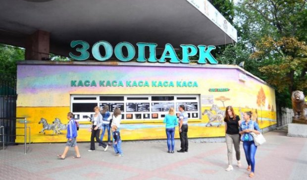 Киевский зоопарк ограбили дважды за неделю 