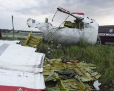 Нідерланди 10 серпня назвуть причину падіння Боїнга-777 