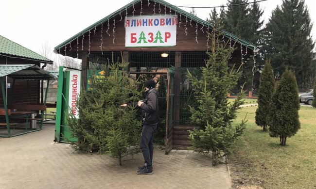 Ялинковий базар, новорічна ялинка - фото trostles.com