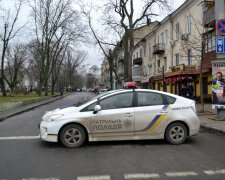 Під Києвом накрили небезпечну банду іноземців, розгулялися не на жарт: опубліковано фото і відео