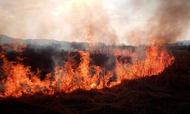 Скрін, відео YouTube