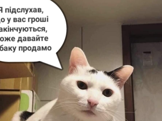 Мем с котом про деньги / фото: Pinterest