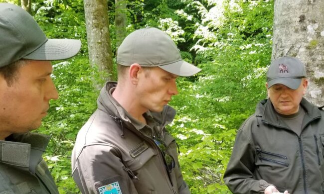 Андрей Малеванный